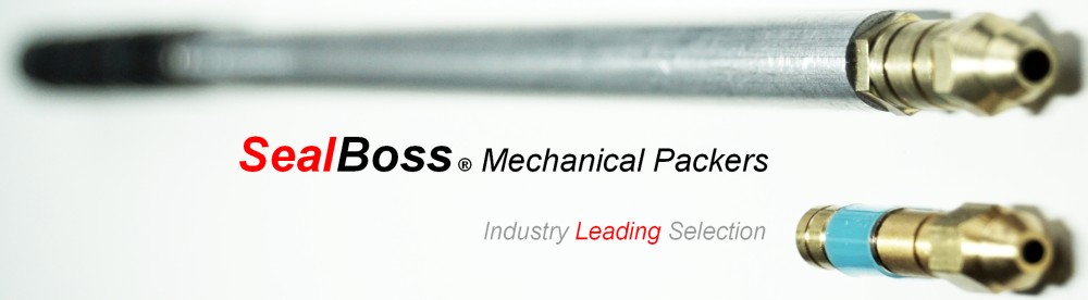 SealBoss Mechanical Packers Injection